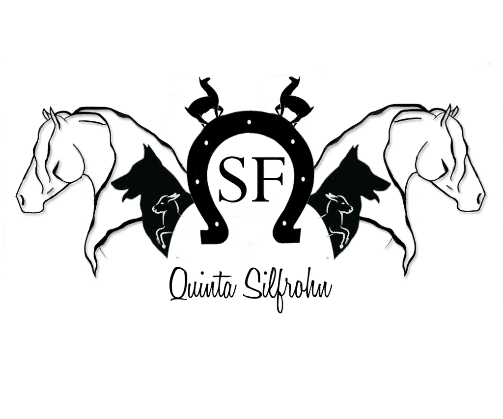 Quinta Silfrohn logo