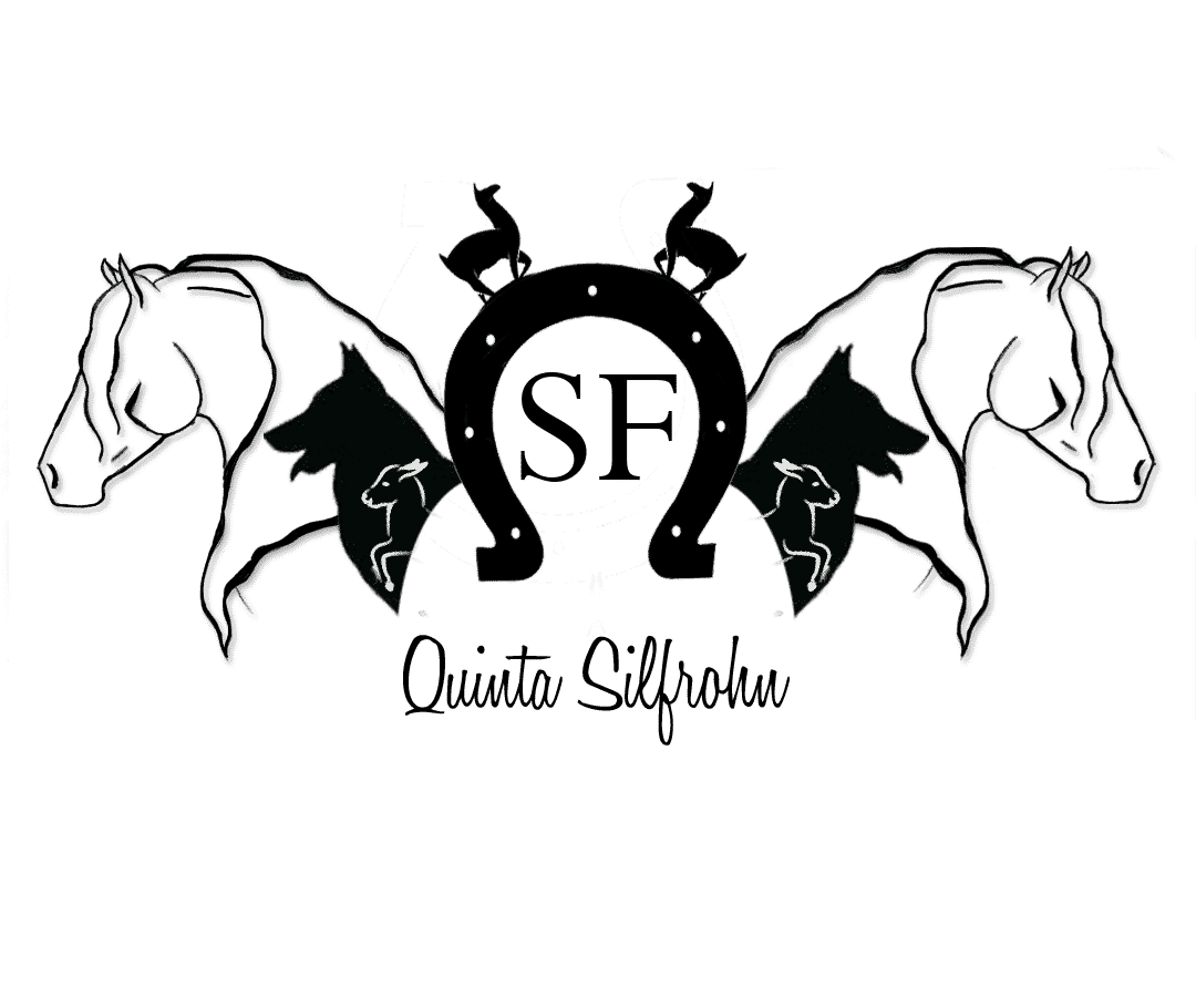 Quinta Silfrohn logo