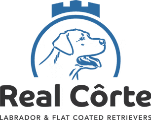 Real Côrte logo