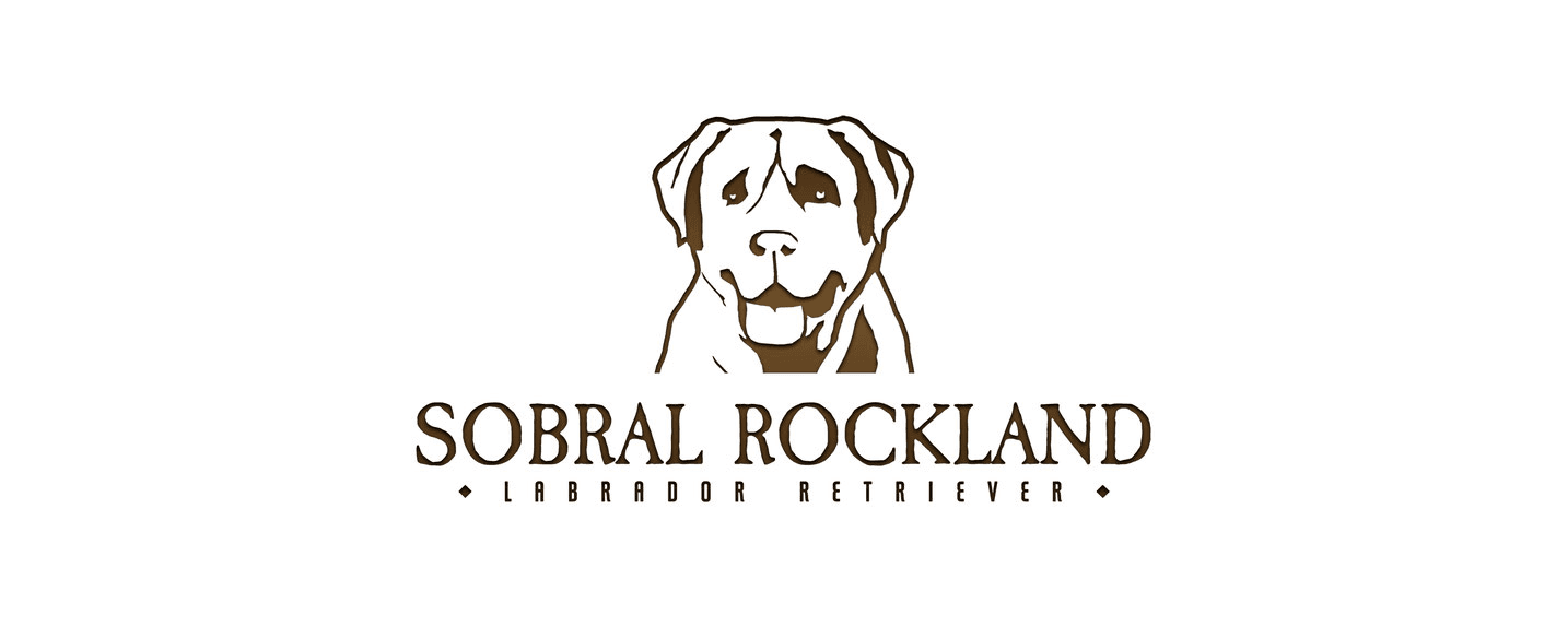 Sobral Rockland logo