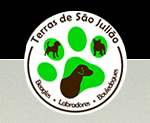 Terras de São Julião logo