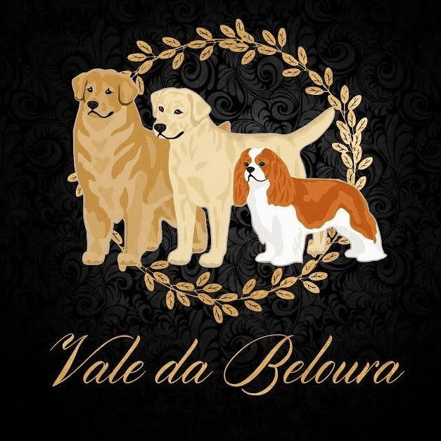 Vale da Beloura logo