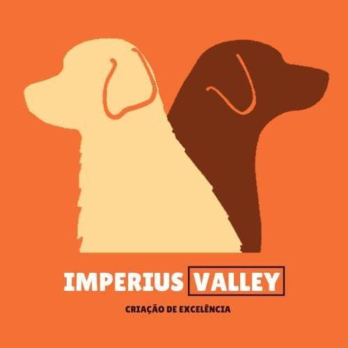 Logótipo de Imperius Valley