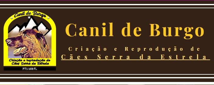 Canil de Burgo