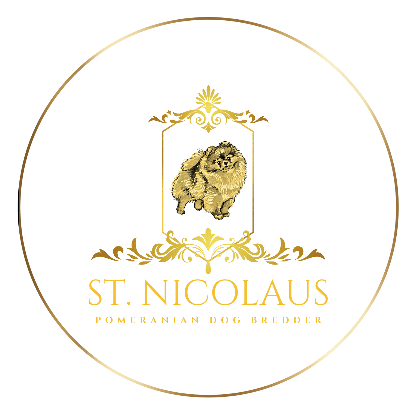 Logótipo de St. Nicolaus Pomeranian