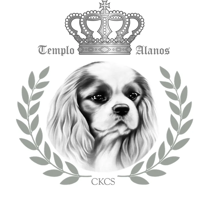 Logótipo de Templo d'Alanos