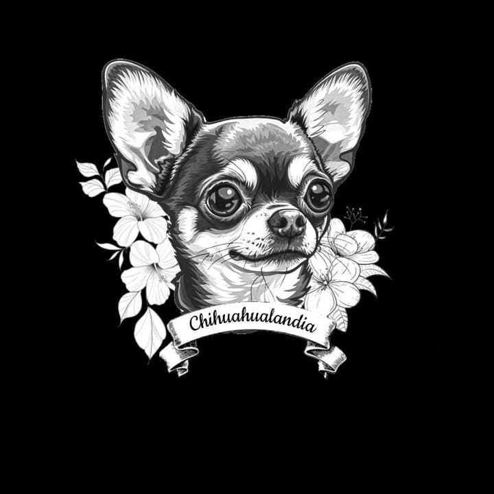 Logótipo de Chihuahualandia