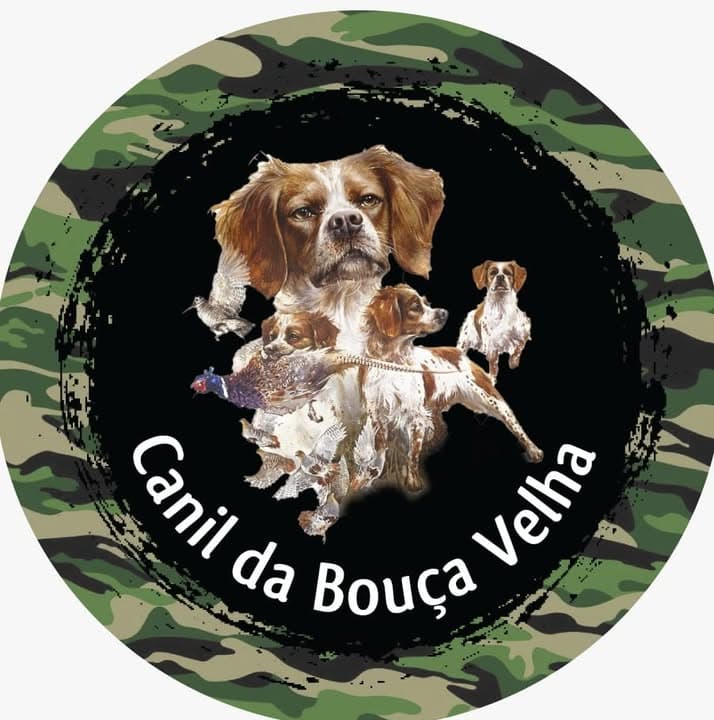 Logótipo de Canil da Bouça Velha