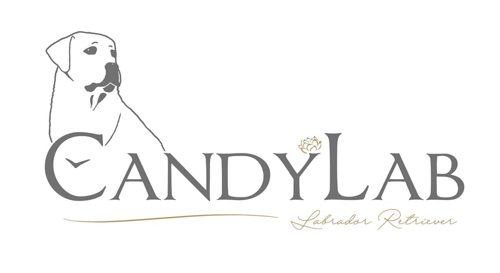 CandyLab logo