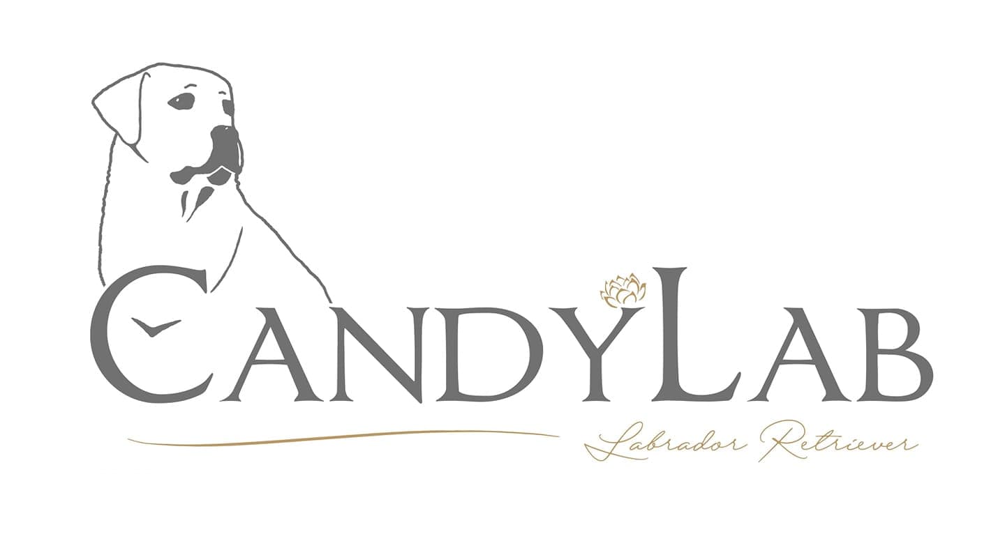 CandyLab logo