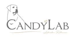 CandyLab
