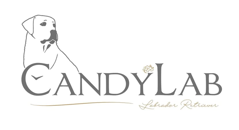 CandyLab