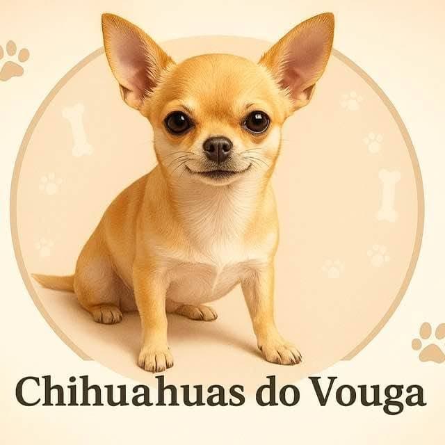 Logótipo de Chihuahuas do Vouga