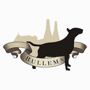 Logótipo de Bullema Bull Terriers