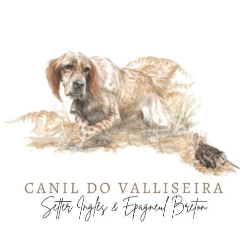 Logótipo de Canil do Valliseira