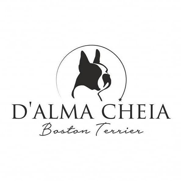 Logótipo de Casa D'alma Cheia