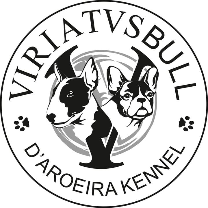Logótipo de Viriatusbull