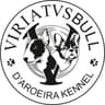 Viriatusbull avatar