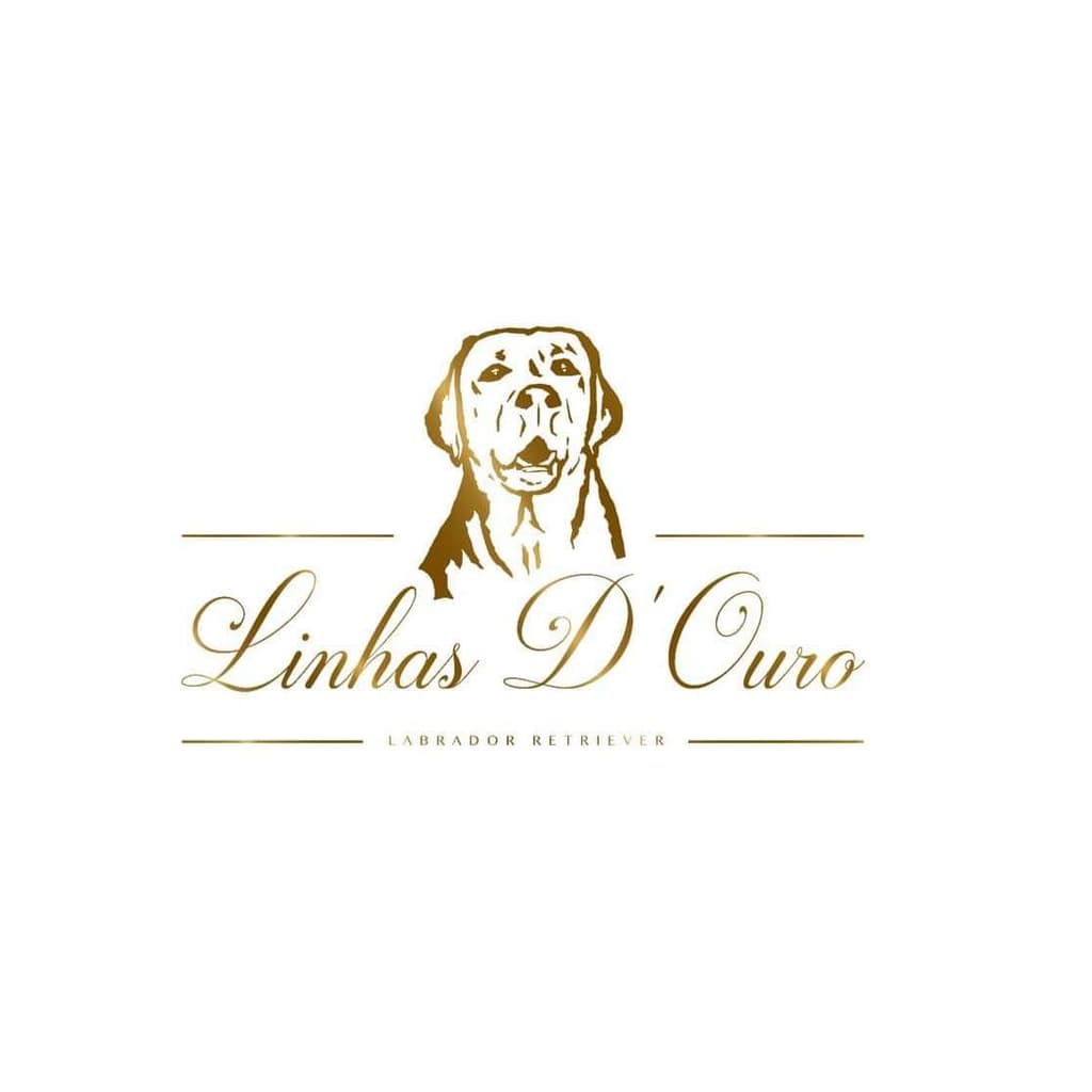 Linhas D'ouro logo