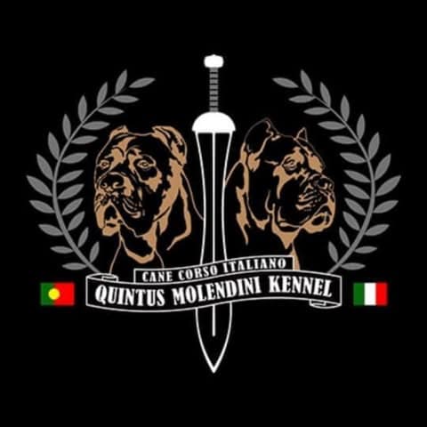 Quintus Molendini Kennel