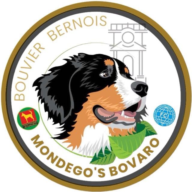 Casa Mondego's Bovaro logo