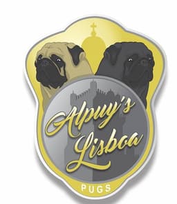 Alpuy's Lisboa Pugs