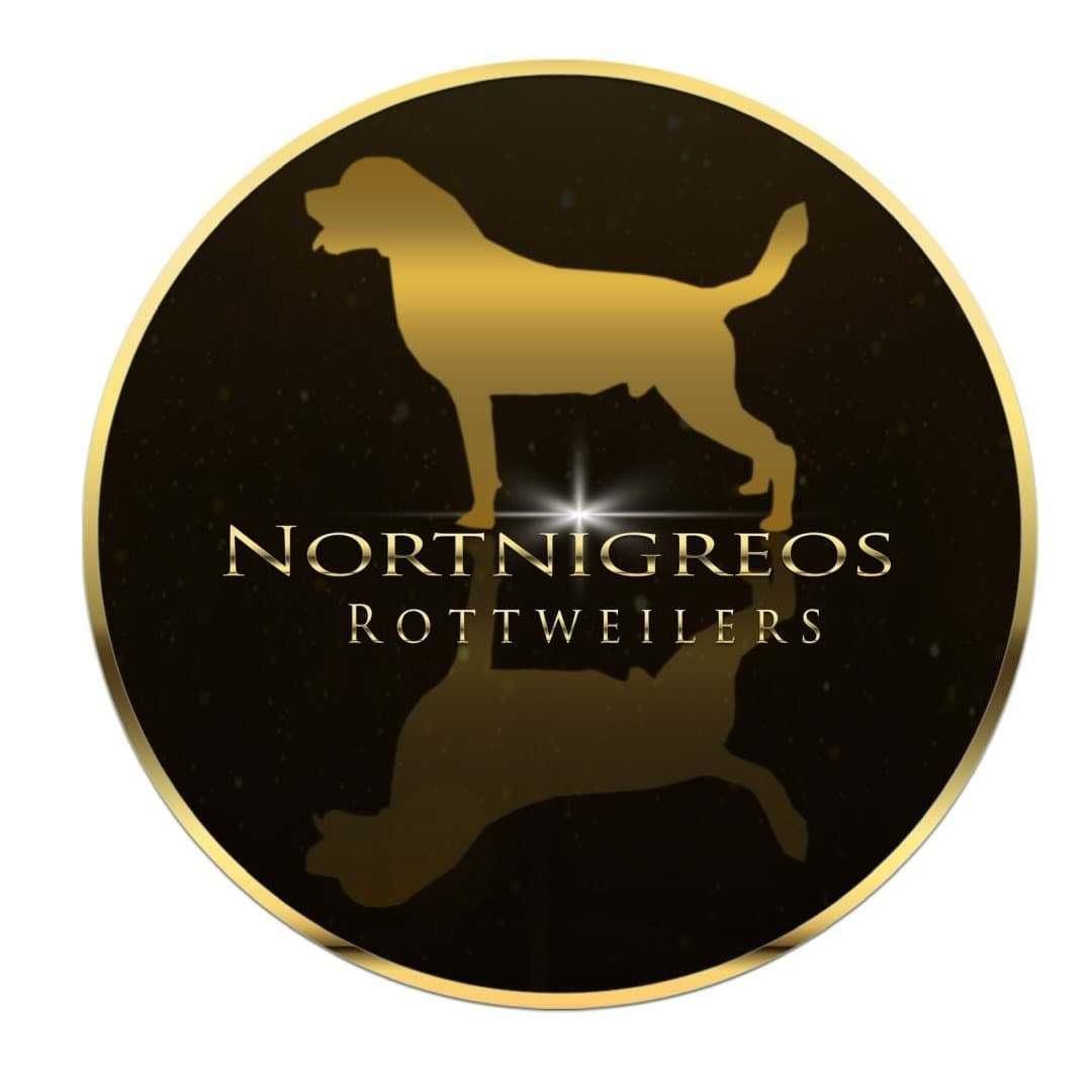 Logótipo de Rottweiler Nortnigreos