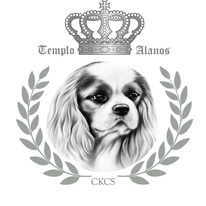 Logótipo de Templo d'Alanos