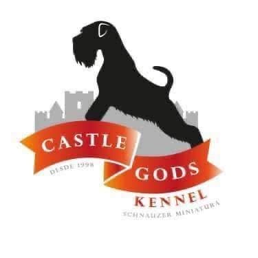 Castle Gods