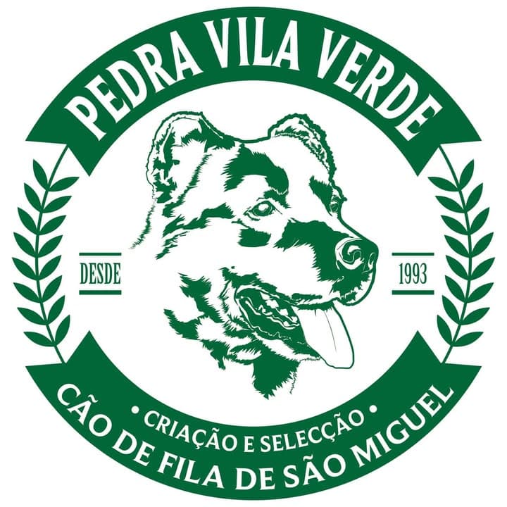 Logótipo de Pedra Vila Verde