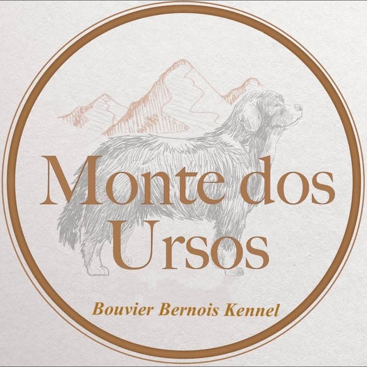 Logótipo de Monte dos Ursos