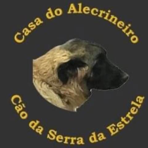 Casa do Alecrineiro logo