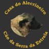 Casa do Alecrineiro avatar