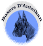 D'Anteikan logo