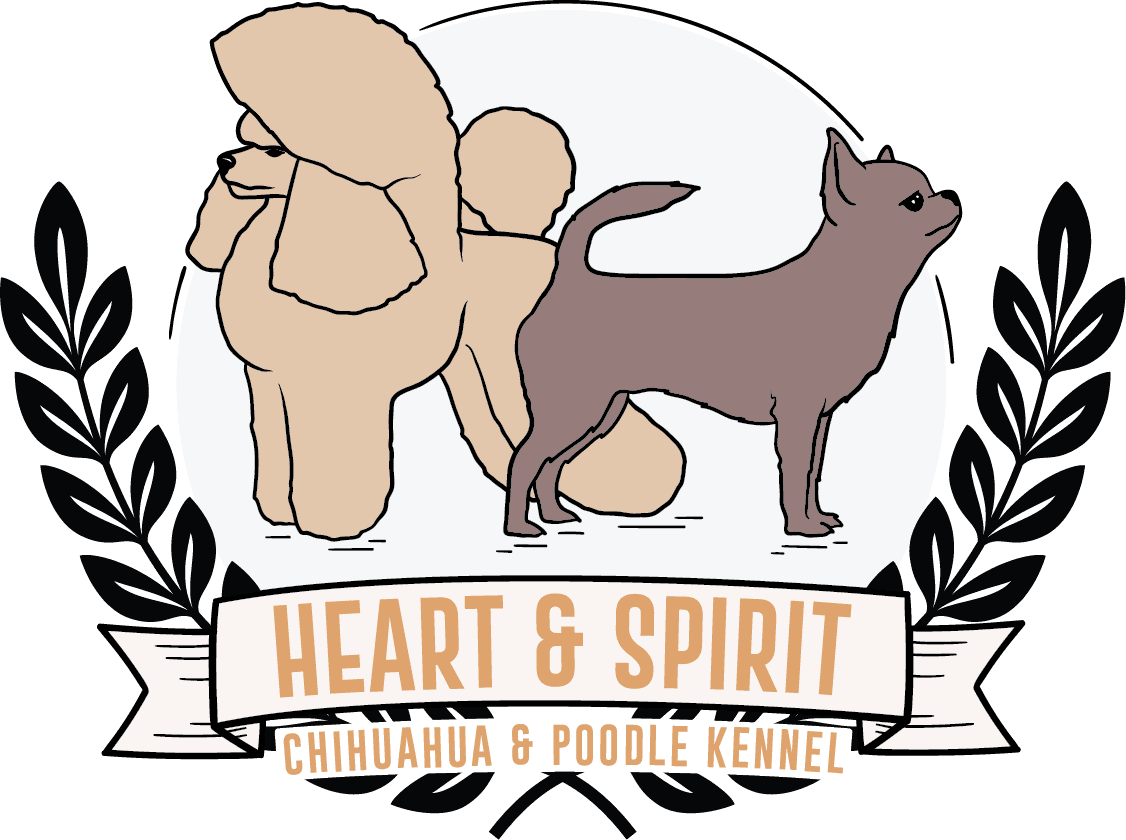 Heart & Spirit Kennel logo