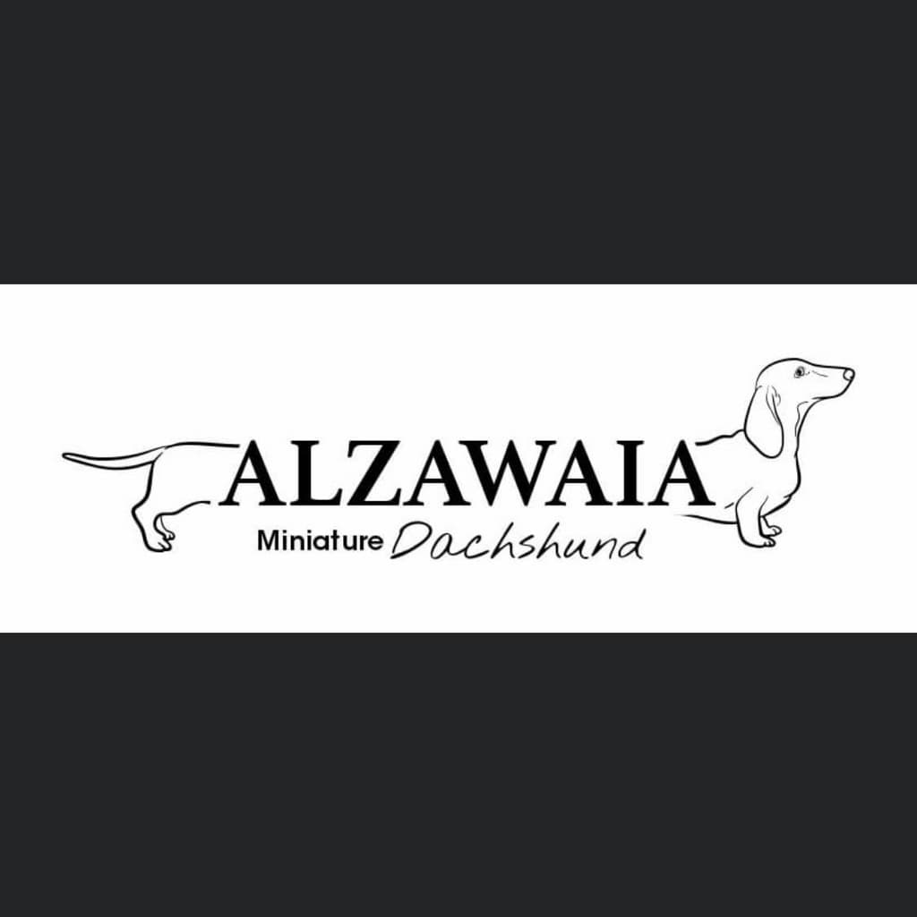 Alzawaia logo