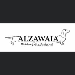 Alzawaia