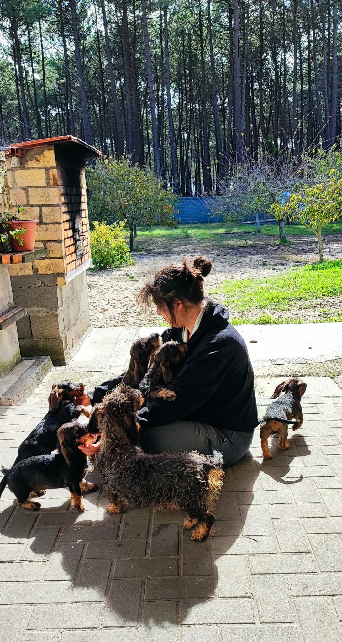 Fotografia de Quinta do Galêgo