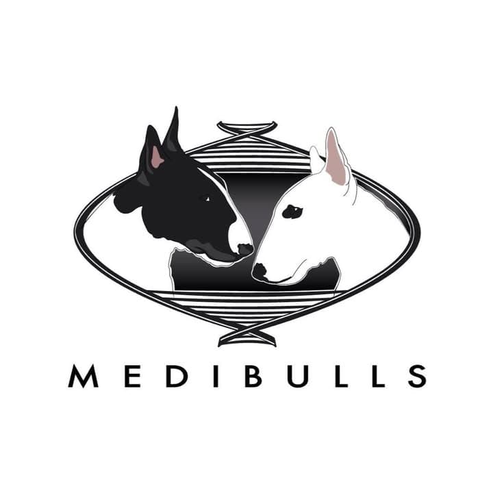 Logótipo de Medibulls Kennel