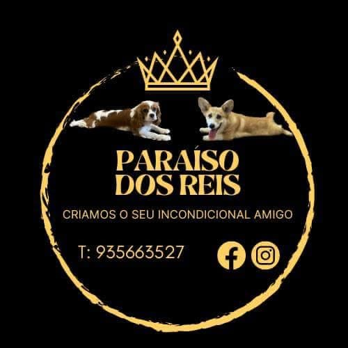Logótipo de Paraíso dos Reis