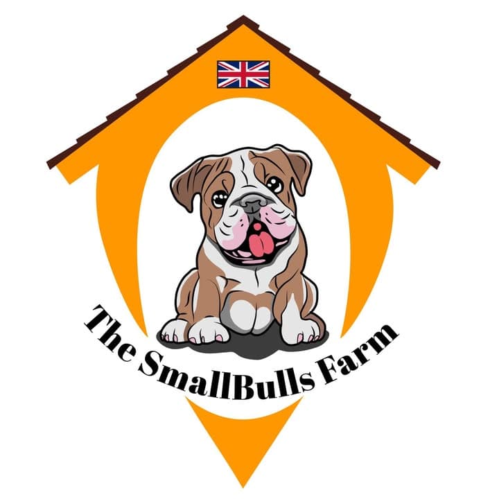Logótipo de The SmallBulls Farm