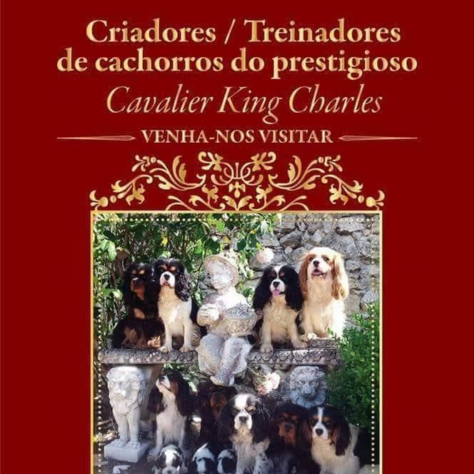 Logótipo de Love Cavalier King Charles