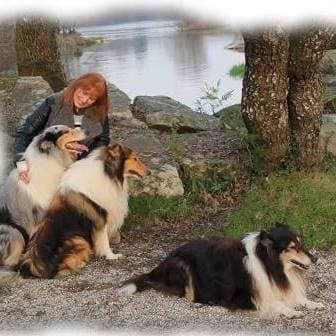 Logótipo de Margens do Cávado Kennel