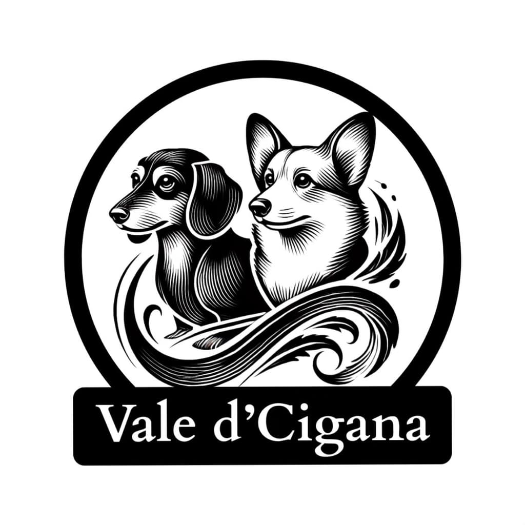 Vale d'Cigana logo