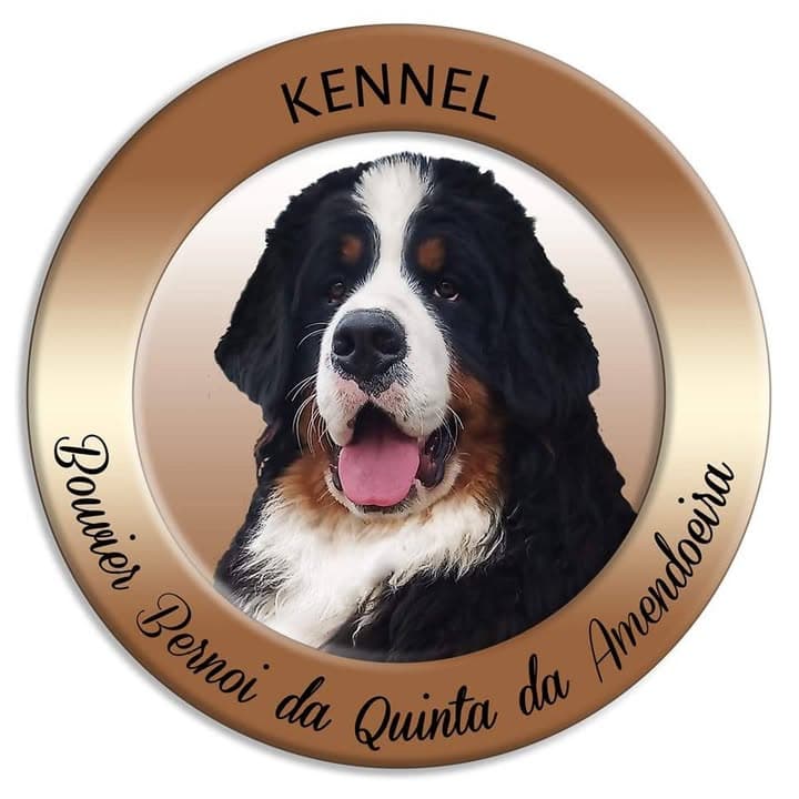 Logótipo de Quinta da Amendoeira