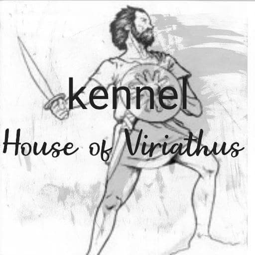 Logótipo de Kennel House of Viriathus
