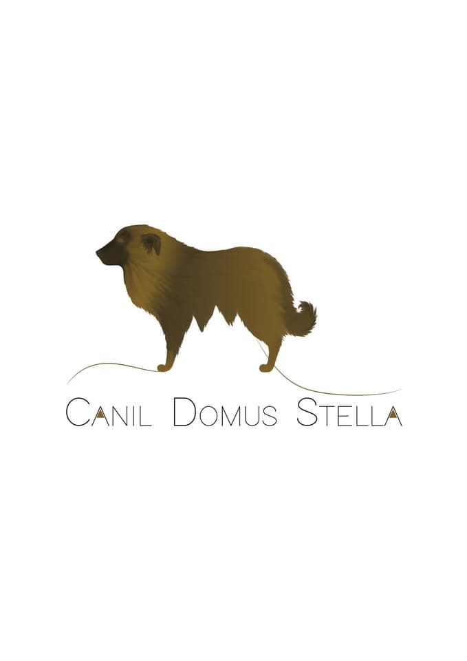 Logótipo de Canil Domus Stella