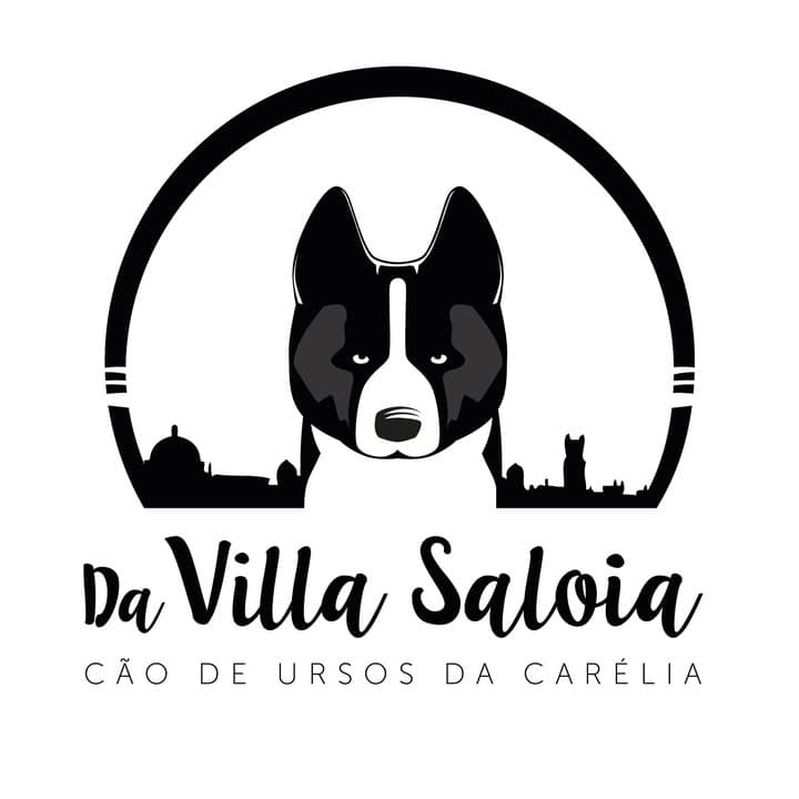 Logótipo de Villa Saloia