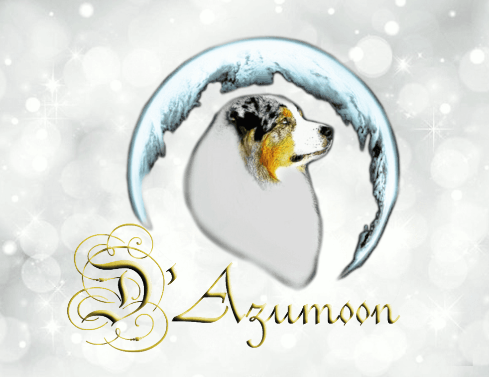 D'Azumoon logo