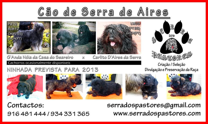 Serra dos Pastores